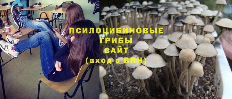 Псилоцибиновые грибы Magic Shrooms  сколько стоит  Арамиль 